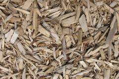 biomass boilers Walderslade